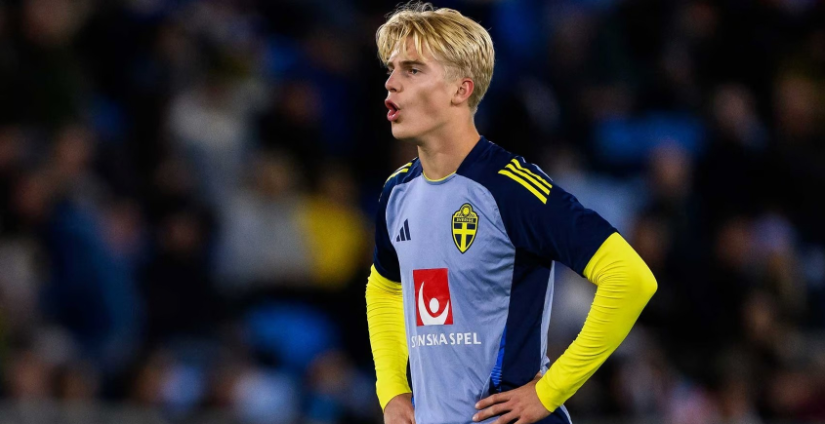 在当天的焦 在当天的焦