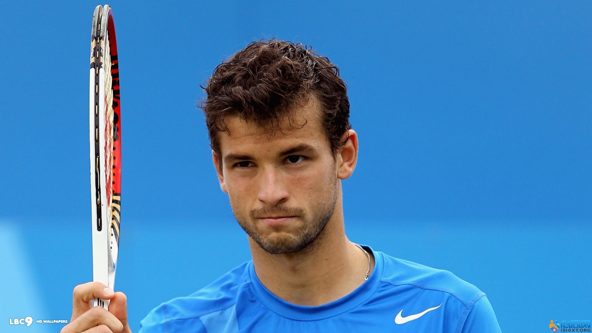 要求的SE 要求的SE